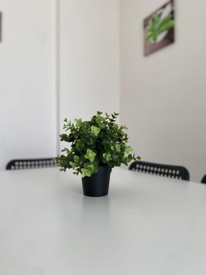 Domus Zagare - Wi-Fi Apartment Baia  Екстериор снимка